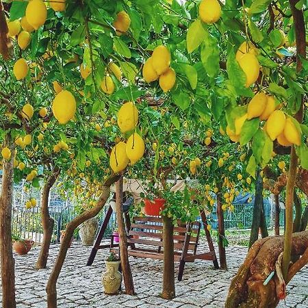 Вилла Il Limoneto Degli Angeli Минори Экстерьер фото