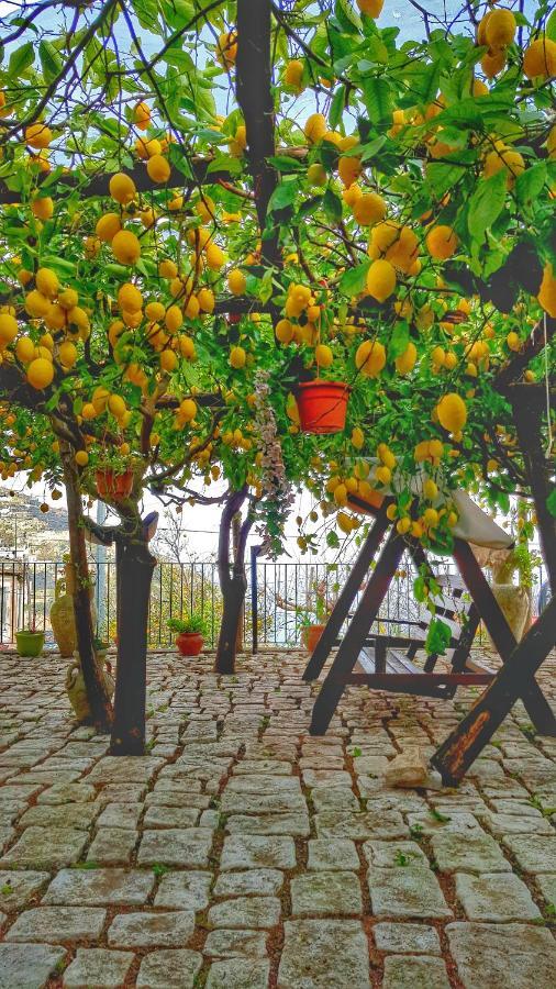 Вилла Il Limoneto Degli Angeli Минори Экстерьер фото