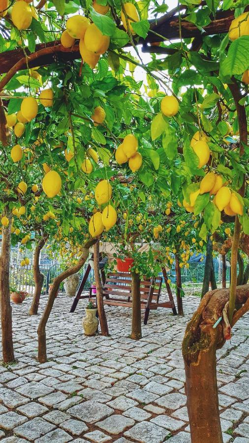 Вилла Il Limoneto Degli Angeli Минори Экстерьер фото